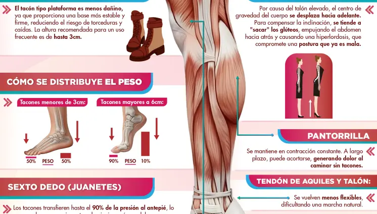 REANIMACIÓN CARDIOPULMONAR EXTERNA REANIMACIÓN CARDIOPULMONAR EXTERNA