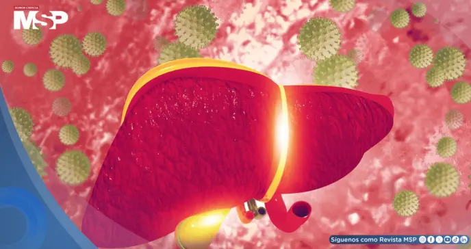 Hepatitis C: la infección silenciosa que puede dañar el hígado por décadas sin dar señales Hepatitis C: la infección silenciosa que puede dañar el hígado por décadas sin dar señales