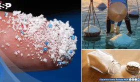 Científicos detectan microplásticos en la sal: llegarían del mar, del aire y terminan en tu cuerpo 