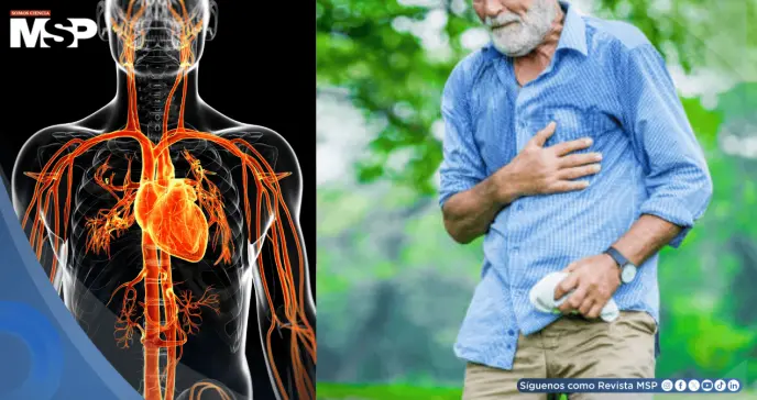 Atletas veteranos enfrentan mayor riesgo de muerte súbita por cicatrices cardíacas, según estudio