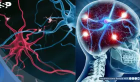 Cient&iacute;ficos desarrollan nanocuerpos para tratar los s&iacute;ntomas m&aacute;s resistentes de la esquizofrenia