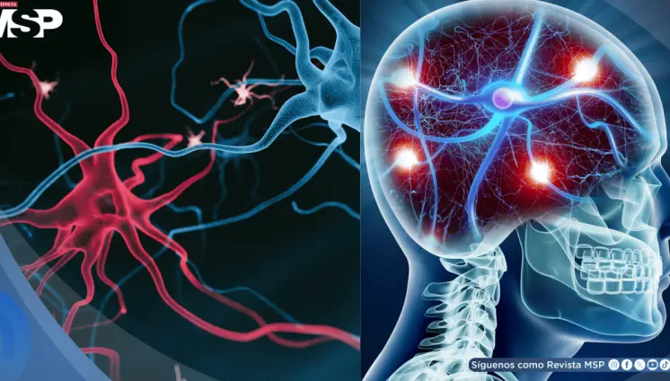 Científicos desarrollan nanocuerpos para tratar los síntomas más resistentes de la esquizofrenia Científicos desarrollan nanocuerpos para tratar los síntomas más resistentes de la esquizofrenia
