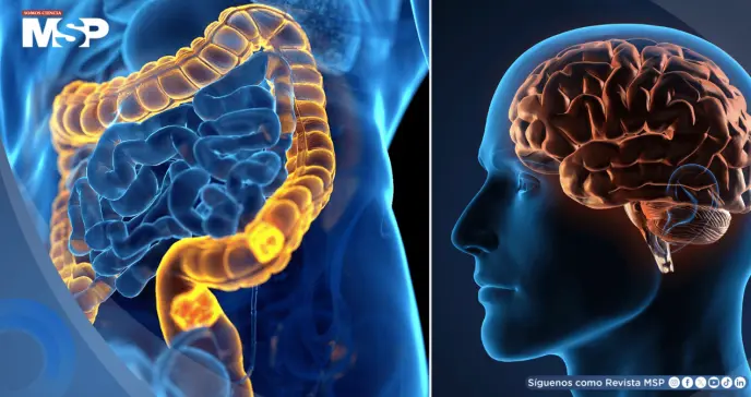 Los ritmos circadianos alterados aumentan el riesgo de cáncer colorrectal, revela estudio