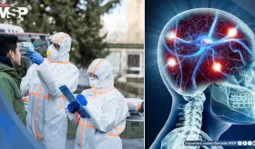 La pandemia aceler&oacute; el envejecimiento cerebral incluso en no infectados, seg&uacute;n estudio
