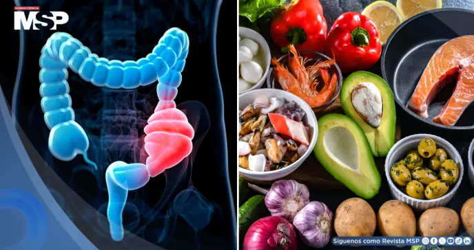 ¿Estreñimiento crónico? Dieta mediterránea y basadas en plantas muestran efecto protector, según estudio