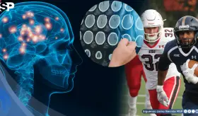 Encefalopatía crónica y su relación con la conducta violenta: El caso del autor del tiroteo en Nueva York