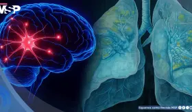 La hipoxia de forma controlada podr&iacute;a frenar el da&ntilde;o celular en el p&aacute;rkinson, seg&uacute;n estudio 