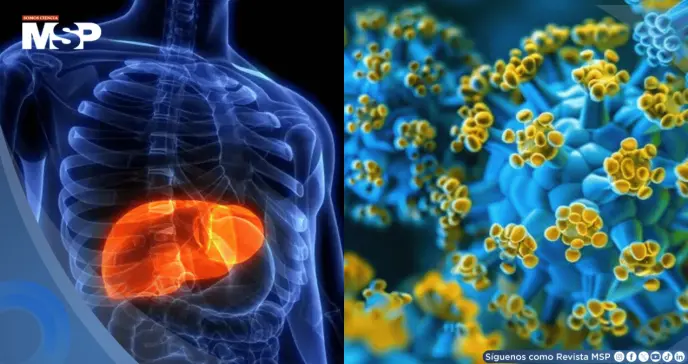 OMS clasifica la hepatitis D como cancerígena: Esto es lo que debe saber sobre su transmisión OMS clasifica la hepatitis D como cancerígena: Esto es lo que debe saber sobre su transmisión