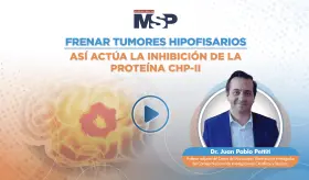 Frenar tumores hipofisarios: Así actúa la inhibición de la proteína CHP-II