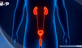 Erecciones nocturnas dolorosas: ¿Por qué ocurren y cuándo buscar ayuda médica?