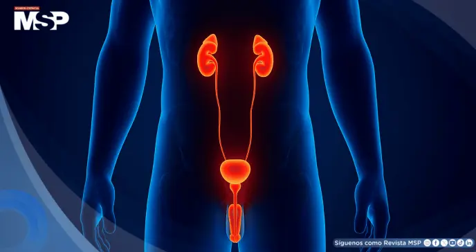 Erecciones nocturnas dolorosas: ¿Por qué ocurren y cuándo buscar ayuda médica?