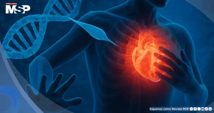 Científicos reactivan un gen clave con ARNm para reparar el corazón tras un infarto