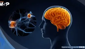 As&iacute; el cerebro organiza movimientos de las manos para tareas como escribir, cortar y manipular objetos