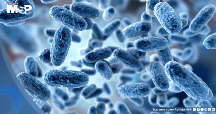 Científicos logran que bacterias descompongan plástico sin modificar su ADN