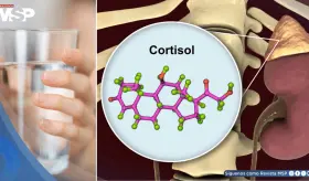 La deshidratación eleva los niveles de cortisol y podría aumentar el estrés, según estudio
