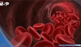 Descubren que la restricción del flujo sanguíneo debilita la inmunidad y acelera el crecimiento tumoral