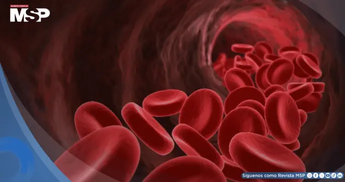 Descubren que la restricción del flujo sanguíneo debilita la inmunidad y acelera el crecimiento tumoral Descubren que la restricción del flujo sanguíneo debilita la inmunidad y acelera el crecimiento tumoral