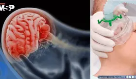 &iquest;Hipoxia o anoxia? As&iacute; reacciona tu cuerpo ante la falta de ox&iacute;geno