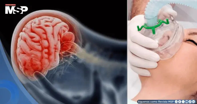 ¿Hipoxia o anoxia? Así reacciona tu cuerpo ante la falta de oxígeno