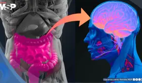 Trastornos digestivos y metabólicos elevan hasta un 70% el riesgo de alzhéimer y párkinson, según estudio