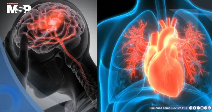 Científicos revelan por qué mujeres aparentemente sanas enfrentan alto riesgo de infarto y ACV Científicos revelan por qué mujeres aparentemente sanas enfrentan alto riesgo de infarto y ACV
