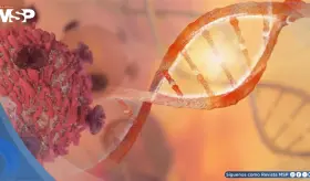 Nueva proteína de fusión mejora la inmunoterapia contra el cáncer con mayor eficacia y menos toxicidad