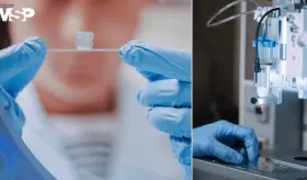 Cient&iacute;ficos logran imprimir vasos sangu&iacute;neos en 3D que imitan la circulaci&oacute;n real