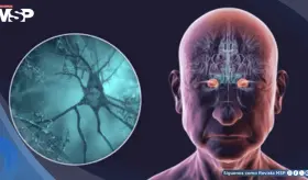 Por primera vez, ralentizan la progresi&oacute;n del alzh&eacute;imer: nuevos tratamientos y diagn&oacute;stico a tiempo