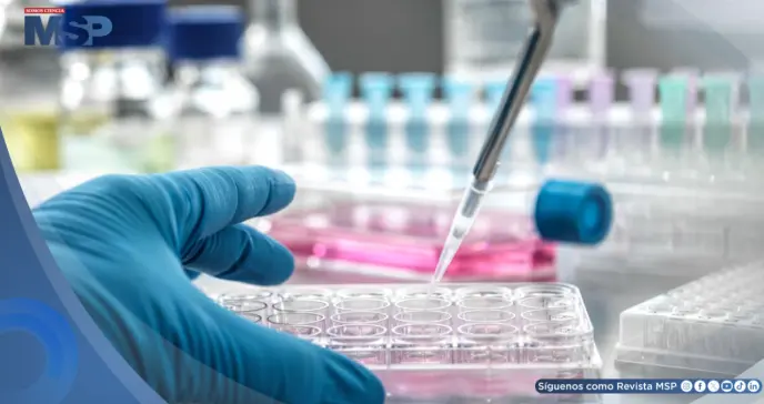 FDA aprueba el regreso de Blenrep: reduciría 51 % del riesgo de muerte en mieloma múltiple FDA aprueba el regreso de Blenrep: reduciría 51 % del riesgo de muerte en mieloma múltiple