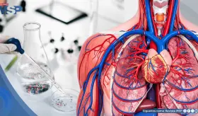 Advierten que microplásticos en las arterias podrían duplicar el riesgo de infartos y dañar el corazón