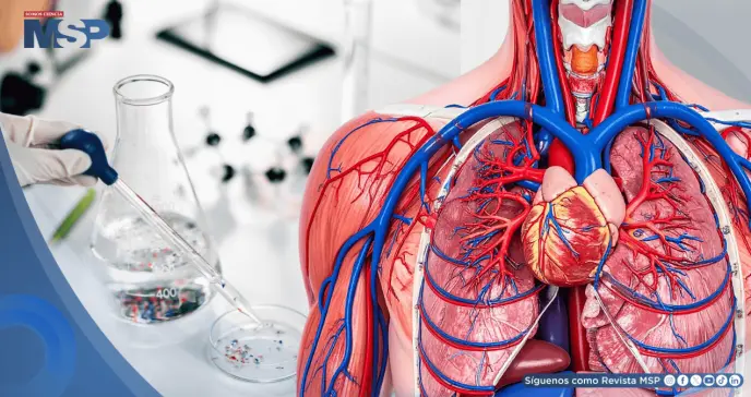 Advierten que microplásticos en las arterias podrían duplicar el riesgo de infartos y dañar el corazón