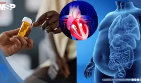 Antidepresivos también impactan el cuerpo: Algunos alterarían el peso corporal y la frecuencia cardíaca