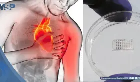 Desarrollan parche inteligente que podr&iacute;a regenerar el coraz&oacute;n tras un infarto