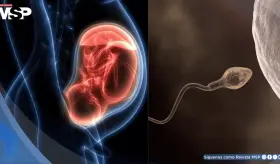 Hito m&eacute;dico: Inteligencia artificial logra primer embarazo exitoso en pareja con infertilidad severa