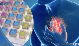 Nuevo parche card&iacute;aco repara tejido da&ntilde;ado tras un infarto al liberar tres f&aacute;rmacos en fases controladas
