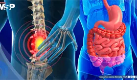 &iquest;Dolor de espalda constante? trastornos digestivos estar&iacute;an relacionados con el dolor lumbar