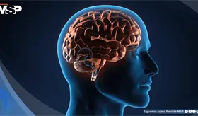 La adolescencia se extender&iacute;a hasta los 32 a&ntilde;os y el envejecimiento comenzar&iacute;a a los 66: Estudio