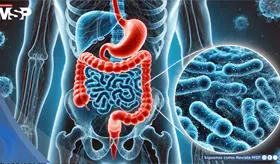 Aditivos en ultraprocesados podr&iacute;an debilitar la barrera intestinal  e incrementar la inflamaci&oacute;n