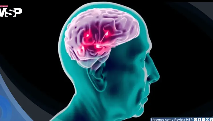 Los picos de azúcar después de comer podrían aumentar hasta un 69% el riesgo de alzhéimer Los picos de azúcar después de comer podrían aumentar hasta un 69% el riesgo de alzhéimer