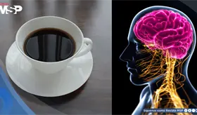 Descubren que dos tazas de caf&eacute; al d&iacute;a podr&iacute;an reducir un 18% el riesgo de demencia