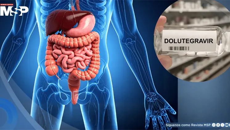 Fármaco contra el VIH repararía el intestino dañado en fases avanzadas de la enfermedad Fármaco contra el VIH repararía el intestino dañado en fases avanzadas de la enfermedad