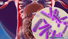Antibi&oacute;ticos dejan huella en el microbioma intestinal hasta ocho a&ntilde;os despu&eacute;s del tratamiento