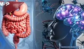Inflamaci&oacute;n intestinal estar&iacute;a vinculada con p&eacute;rdida de memoria al afectar la comunicaci&oacute;n con el cerebro