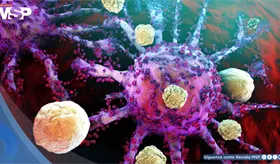 Optimizan terapia CAR-T: Mayor persistencia y capacidad de autorrenovaci&oacute;n contra el c&aacute;ncer y el VIH