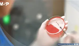Bacteria se vuelve resistente a todos los antibi&oacute;ticos orales y eleva las hospitalizaciones en EEUU