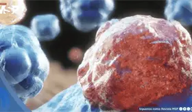 Investigadores revierten c&eacute;lulas cancerosas de colon y cerebro en saludables mediante regulaci&oacute;n gen&eacute;tica