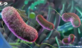 El microbioma intestinal podr&iacute;a predecir el p&aacute;rkinson antes de que aparezcan los s&iacute;ntomas
