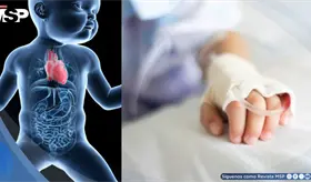 Un coraz&oacute;n puede salvar a dos ni&ntilde;os: As&iacute; funcionan los trasplantes parciales para cardiopat&iacute;as cong&eacute;nitas