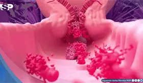 &iquest;Sangrado abundante durante su menstruaci&oacute;n? Podr&iacute;a tratarse de una coagulopat&iacute;a