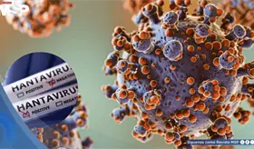 As&iacute; funciona la zoonosis: C&oacute;mo se transmite el hantavirus de roedores a humanos